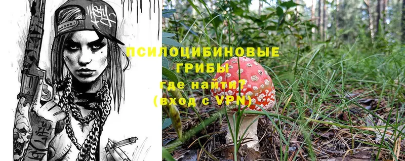 Галлюциногенные грибы Magic Shrooms  Кирово-Чепецк 